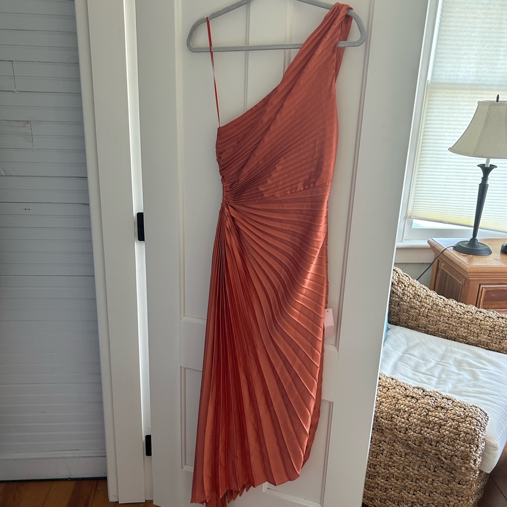 Dress Forum One-Shoulder Pleated Dress in Orange (Never worn!!)
